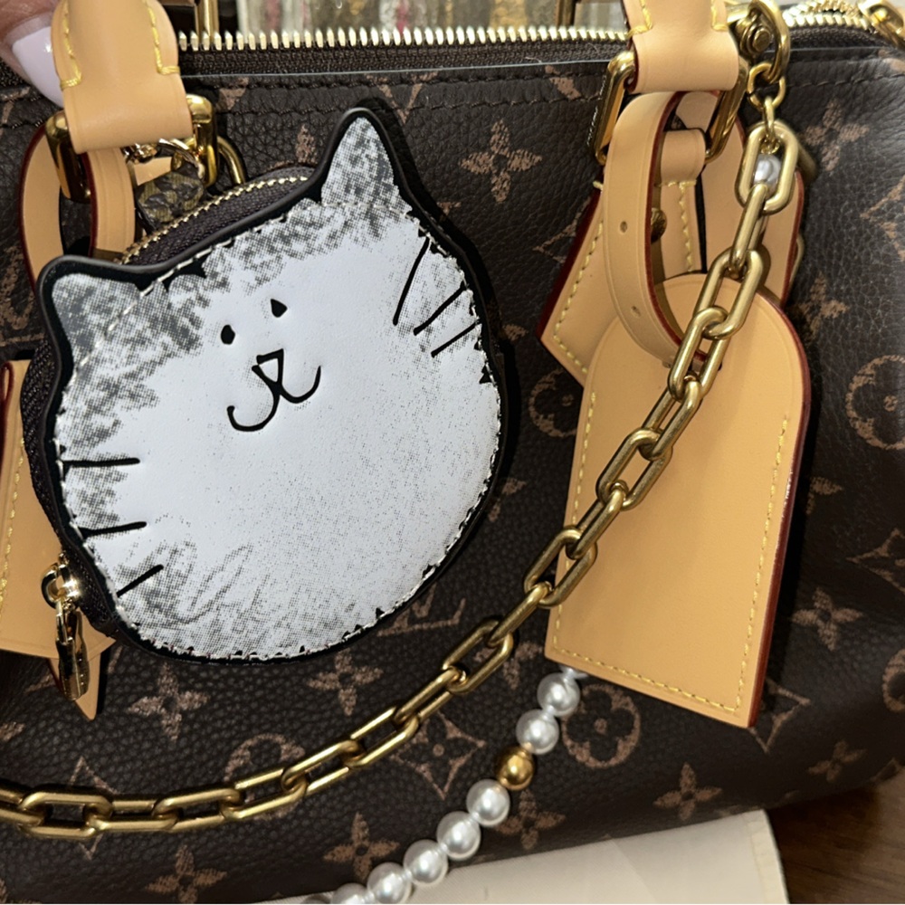 LV Catagram Coin Purse